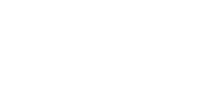 The Walt Disney Company